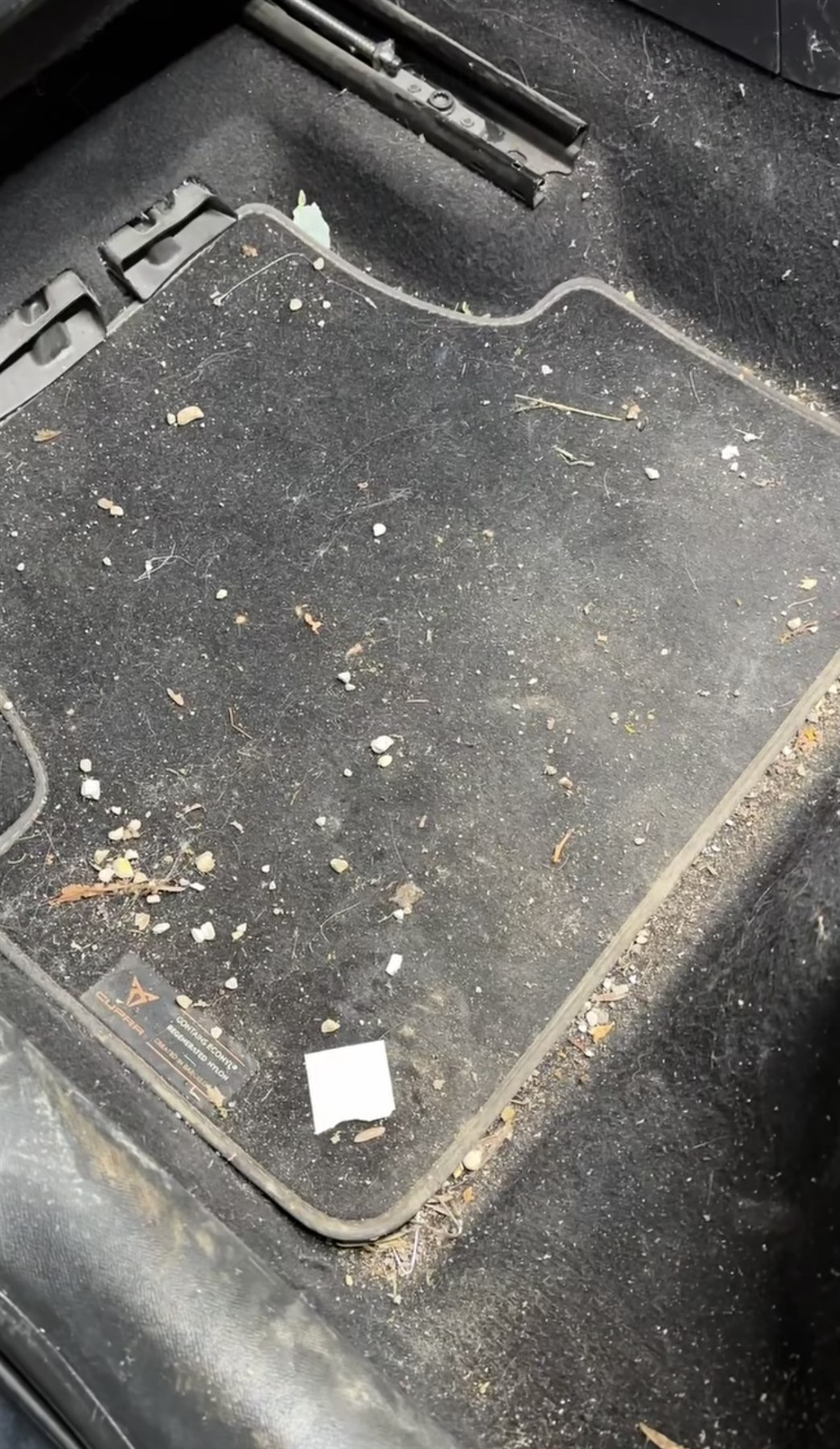 Tappetino posteriore CUPRA prima della pulizia